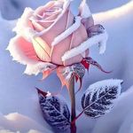 Profile Picture of John Gilbert (@gilbert_john0147) on Instagram