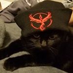 Profile Picture of Christopher Light (@finalightbulb12) on Instagram