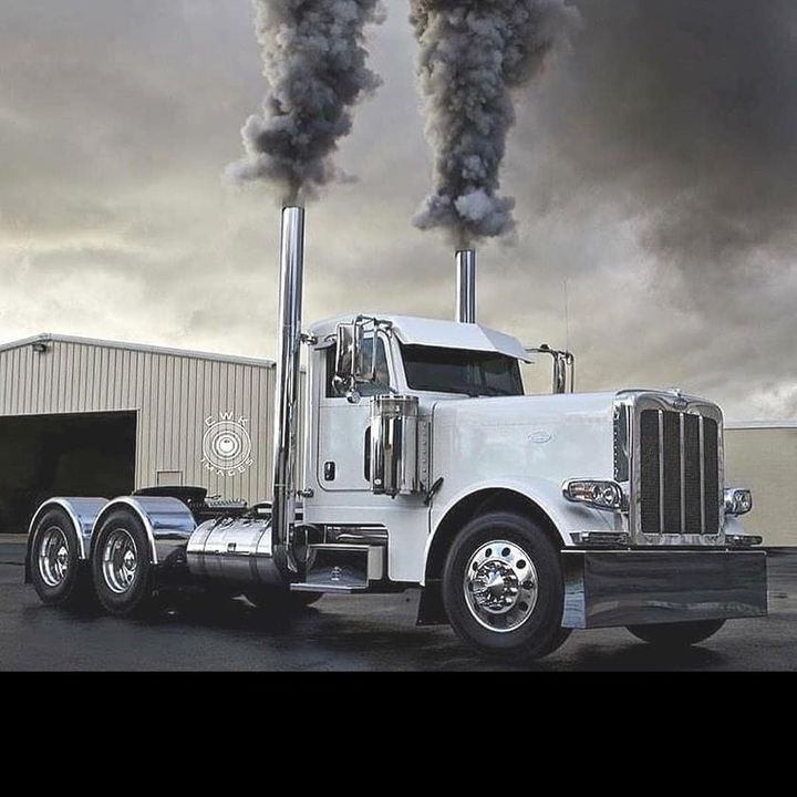 Profile Picture of JustinShedd302 (@justinshedd302) on Tiktok