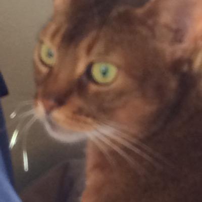 Profile Picture of Barbara Dudley (@barbdudley78) on Twitter