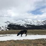 Profile Picture of Vui Dang (@happydangster) on Instagram