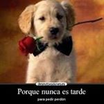 Profile Picture of Allison Jauregui Paita (@allisonjaureguipaita) on Instagram