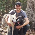 Profile Picture of Joshua Roane (@that_wolfer_guy) on Instagram