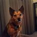 Profile Picture of Steve Gooden (@steve.gooden.391) on Facebook