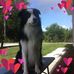 Profile Picture of Cathy Niles (@cathy.niles.52) on Facebook