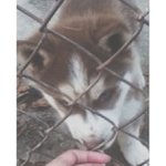 Profile Picture of Steven Setzer (@holynnefun) on Instagram