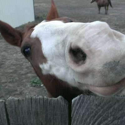 Profile Picture of Kim Tolley (@KimTolley12) on Twitter