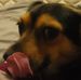 Profile Picture of Michael Sheler (@michael.sheler.3) on Facebook