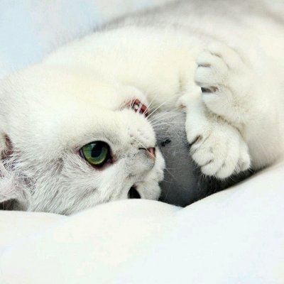 Profile Picture of Su Hlaing (@suhlaing766) on Twitter