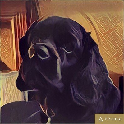 Profile Picture of Andrew Koning (@KoningAB) on Twitter