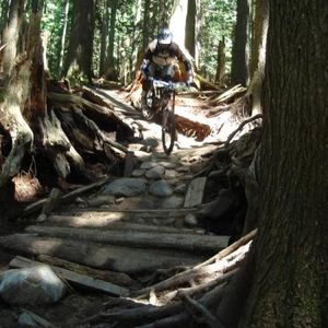 Profile Picture of Randy Friesen (@randyfriesen) on Myspace