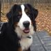 Profile Picture of Mark Mello (@mark.mello.3363) on Facebook