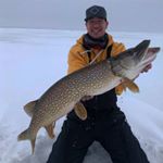 Profile Picture of Bob Haley (@vivalabob89) on Instagram