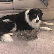 Profile Picture of Liz Fernandes (@lizfernandes4171) on Youtube