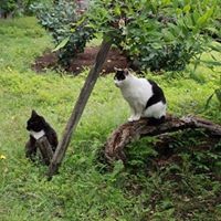 Profile Picture of Tran Hang (@tran-hang) on Quora