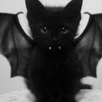 Profile Picture of Mandi Cady (@mandi-cady) on Quora