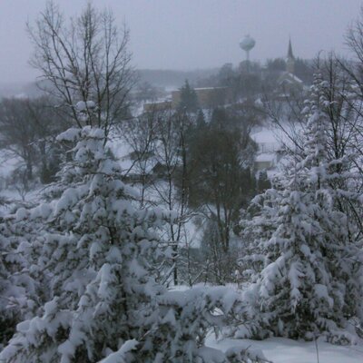 Profile Picture of Joe (@JoeyPiette) on Twitter