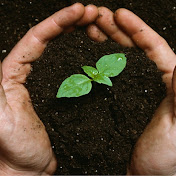 Profile Picture of Osada Online (@osadaonline) on Youtube