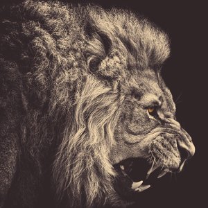 Profile Picture of Michael Schomisch (@schomisch) on Myspace