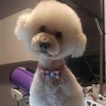 Ilona Dębicka - Instagram Profile Picture of Ilona Dębicka (@ilonadebicka5) on Instagram