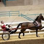 Profile Picture of Eddie Case (@case.eddie) on Instagram