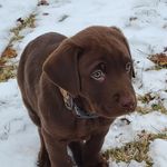 Profile Picture of James Valliere (@jimbonator1970) on Instagram