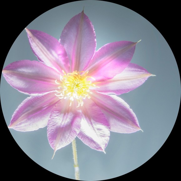 Profile Picture of Emma James (@emj017) on Poshmark