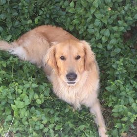 Profile Picture of Christopher Worley (@christopherw0105) on Pinterest