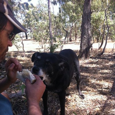 Profile Picture of Brian Nickson (@BrianLNickson) on Twitter