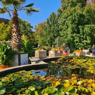 Profile Picture of _b_asti_ (@_b_asti_) on Instagram