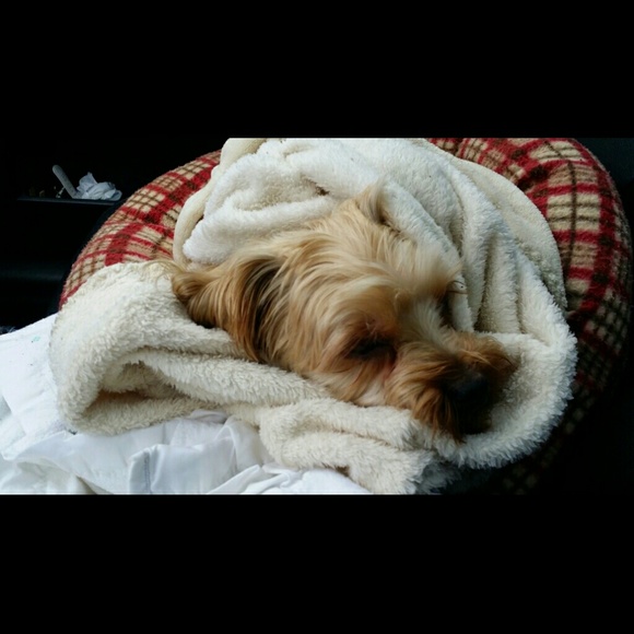 Profile Picture of Tammy Holdener (@tammy41311) on Poshmark