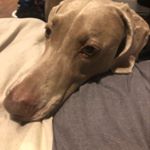 Profile Picture of Parkermontgomery (@parker_j_monte) on Instagram