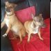 Profile Picture of Debbie Oaten (@debbie.oaten.773) on Facebook