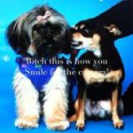 Sean Charlton - Instagram Profile Picture of Sean Charlton (@lsusean1) on Instagram