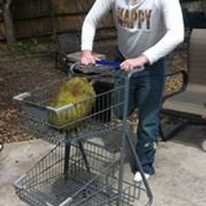 Profile Picture of Jacob Kowalski (@milkboyfive) on Myspace