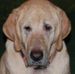 Profile Picture of Mark Mattson (@mark.mattson.735) on Facebook