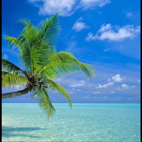 Profile Picture of Hannah Josoff (@hannahjo_) on Poshmark