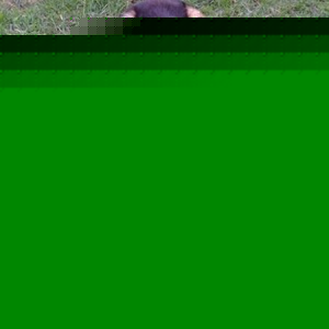 Profile Picture of Joseph Pressnall (@441772448) on Myspace