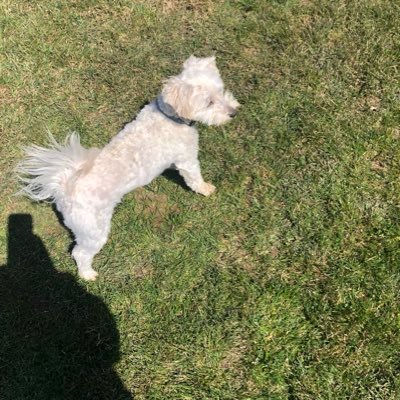 Profile Picture of Ralph Hendrix (@RalphHendrix15) on Twitter