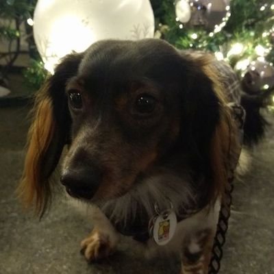 Profile Picture of Chris Quackenbush (@ChrisQuackenbu3) on Twitter