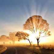 Profile Picture of Steven Grimes (@mrsteveng53) on Pinterest