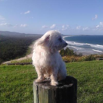 Profile Picture of Ginny (@Ginny_Higgins) on Twitter