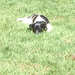 Profile Picture of Andrew Edmonds (@edmonds5640) on Instagram