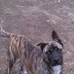 Johnny Workman - Instagram Profile Picture of Johnny Workman (@beerman_08) on Instagram