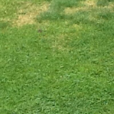 Profile Picture of Ruby Lockyer (@heidi_is_dumb) on Twitter