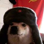 Profile Picture of Larry Capolla (@zororonoa_13) on Instagram