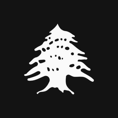 Profile Picture of Salim Salloum (@SalimSalloum10) on Twitter