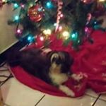 ada camacho - Instagram Profile Picture of ada camacho (@adacamacho2224) on Instagram