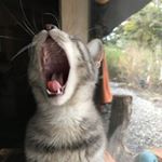 Profile Picture of Lucas Carrera (@lucas_carrera1) on Instagram