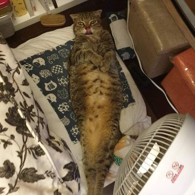 Profile Picture of Jeremy Wei (@jeremywei1) on Twitter